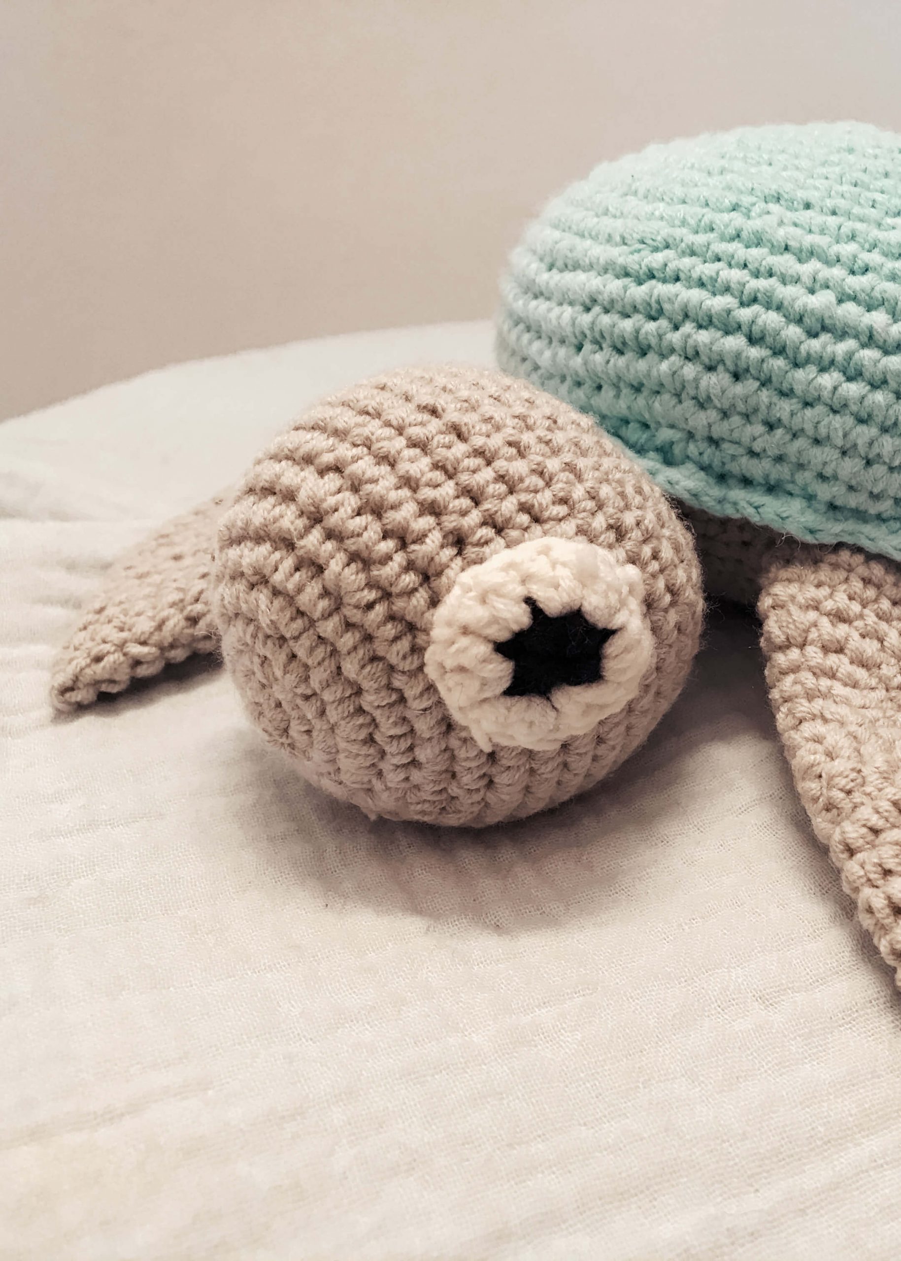 IMG_0641 tortuga-amigurumi-bebe