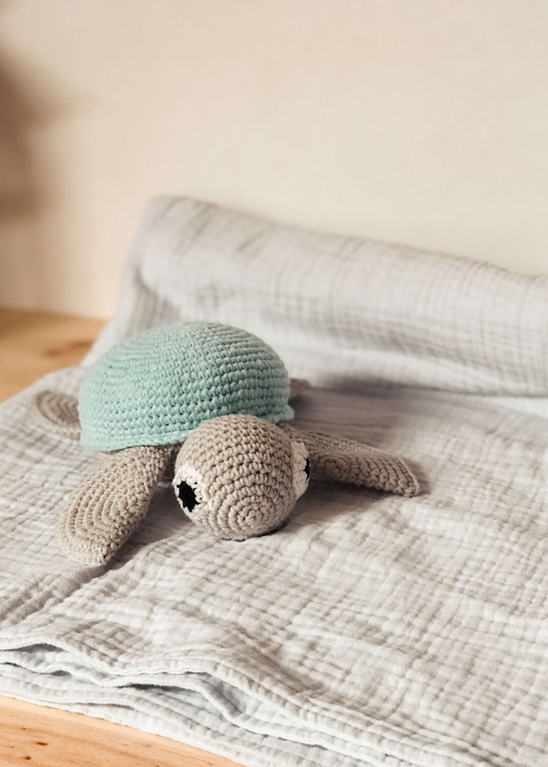 IMG_0763 tortuga-amigurumi-bebe