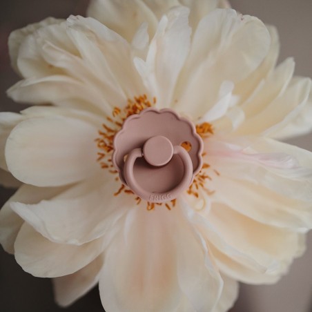 pack-2-chupetes-latex-daisy-bright-white-cream-auspain-flor